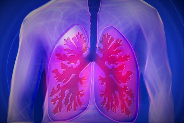 Major relationship between COPD and weight loss