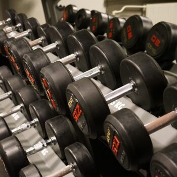 dumbbells are the best equipment for weight loss